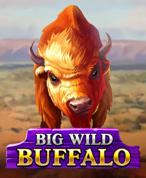 Play Big Wild Buffalo at High Stakes Max Casino
